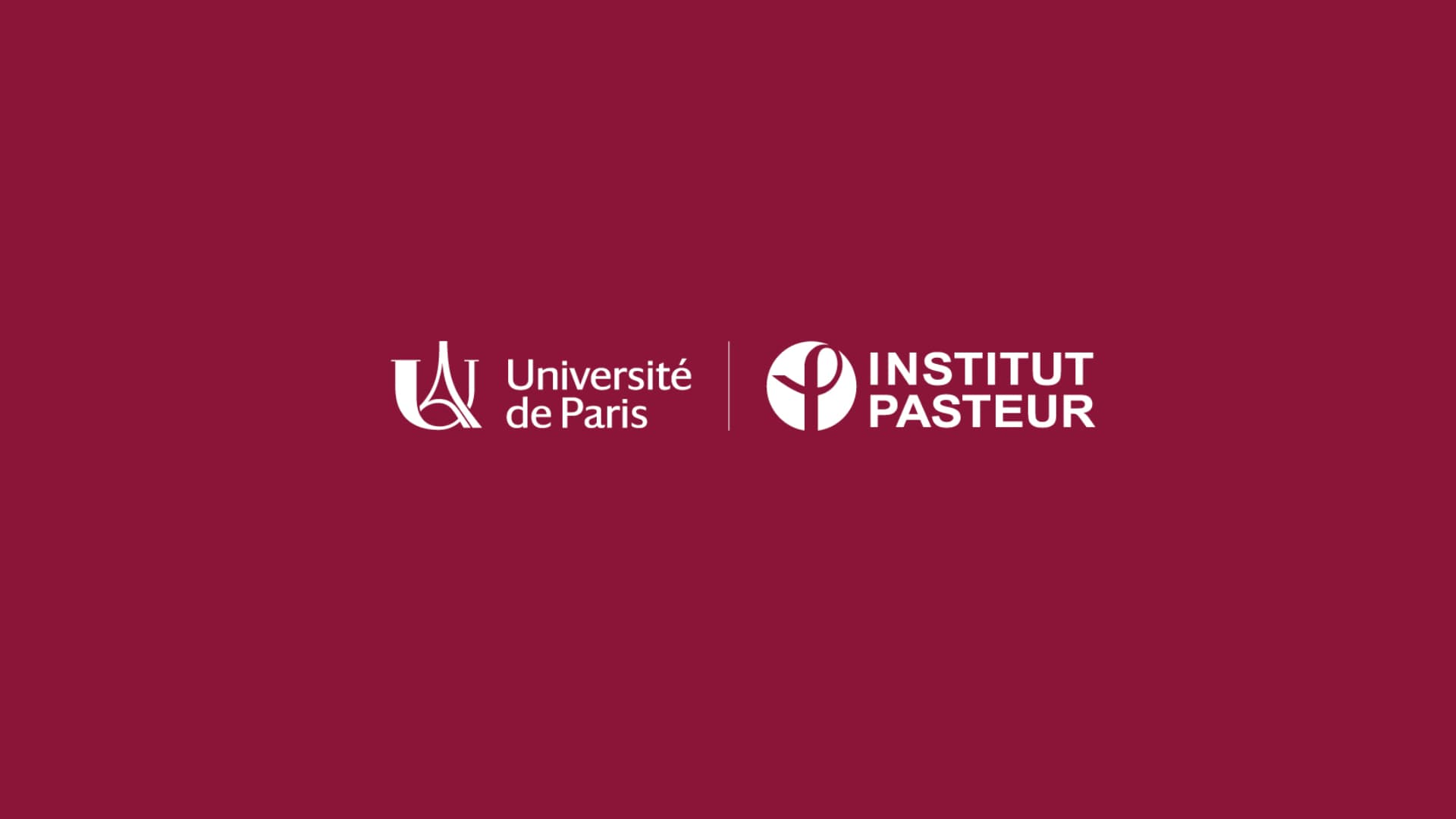 Faculté de Paris Cité : le guide