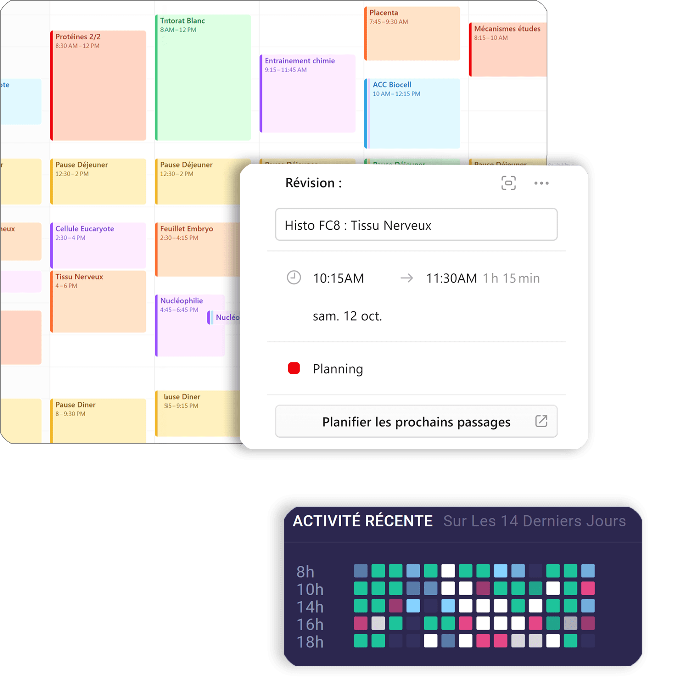 Planning Major PASS