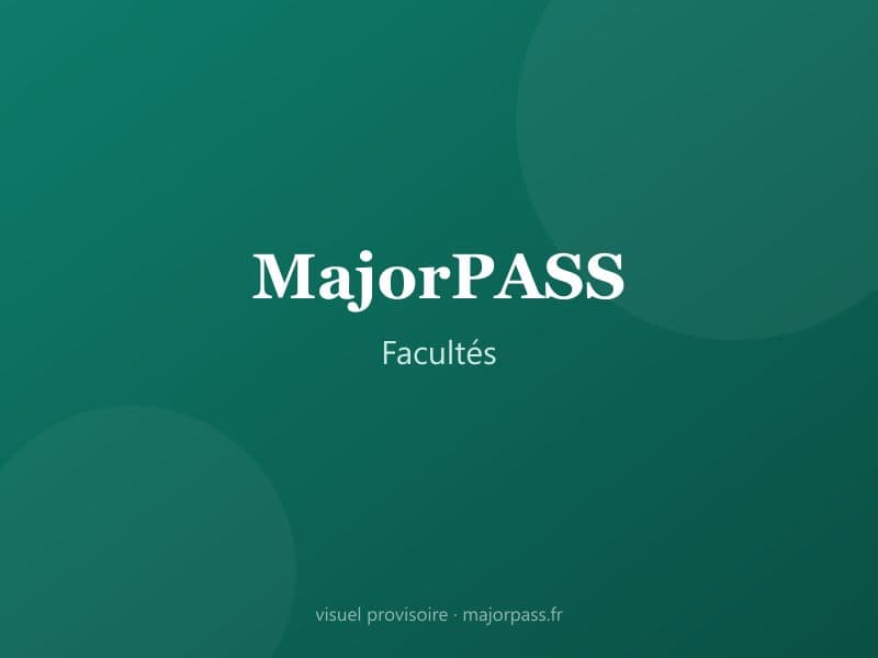 Étudiants en PASS à l’Université Paris Cité comparant les mineures